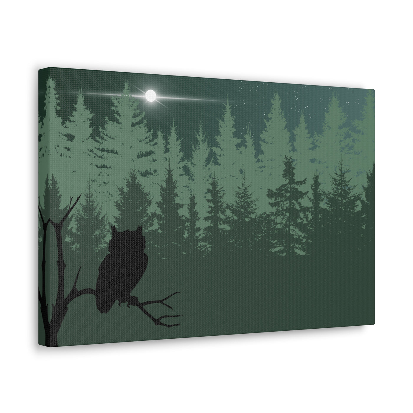 Owl at Midnight Classic Canvas