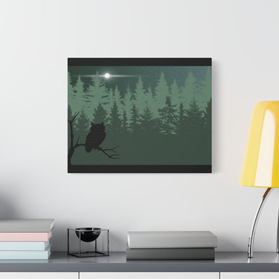 Owl at Midnight Classic Canvas