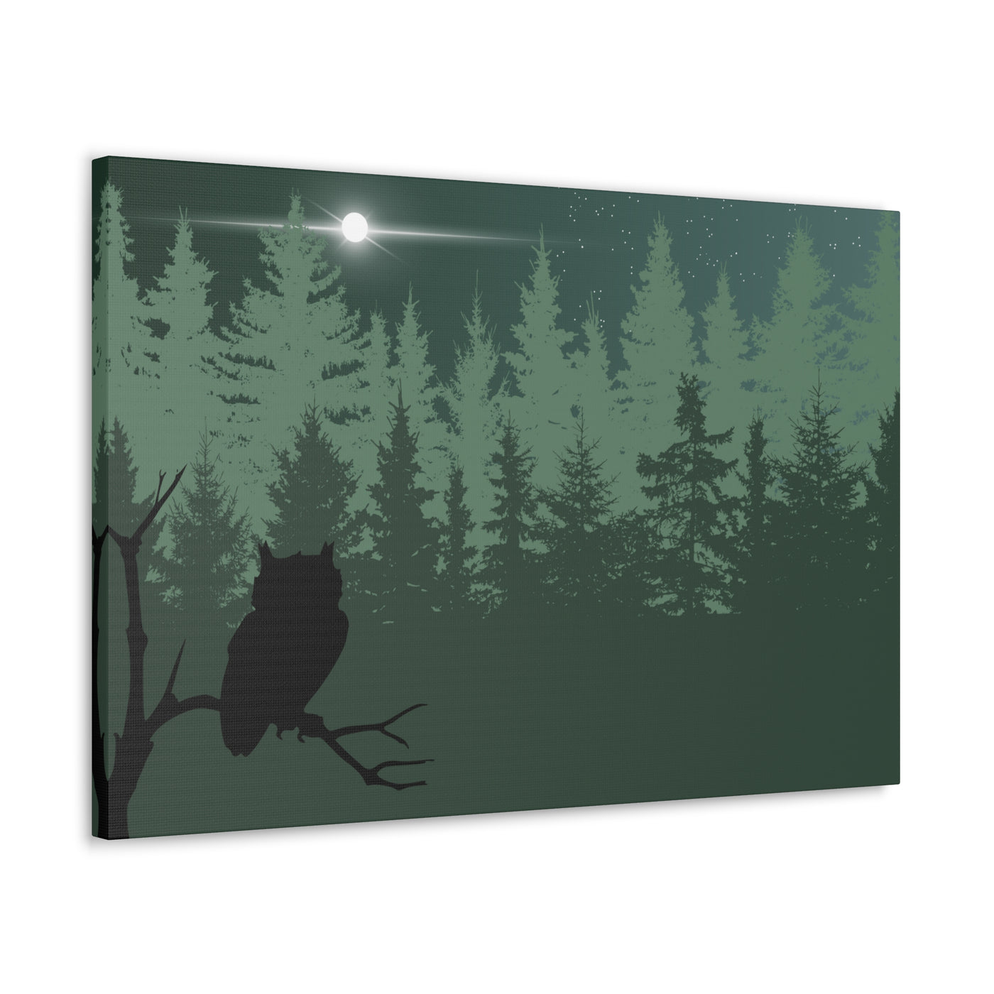 Owl at Midnight Classic Canvas