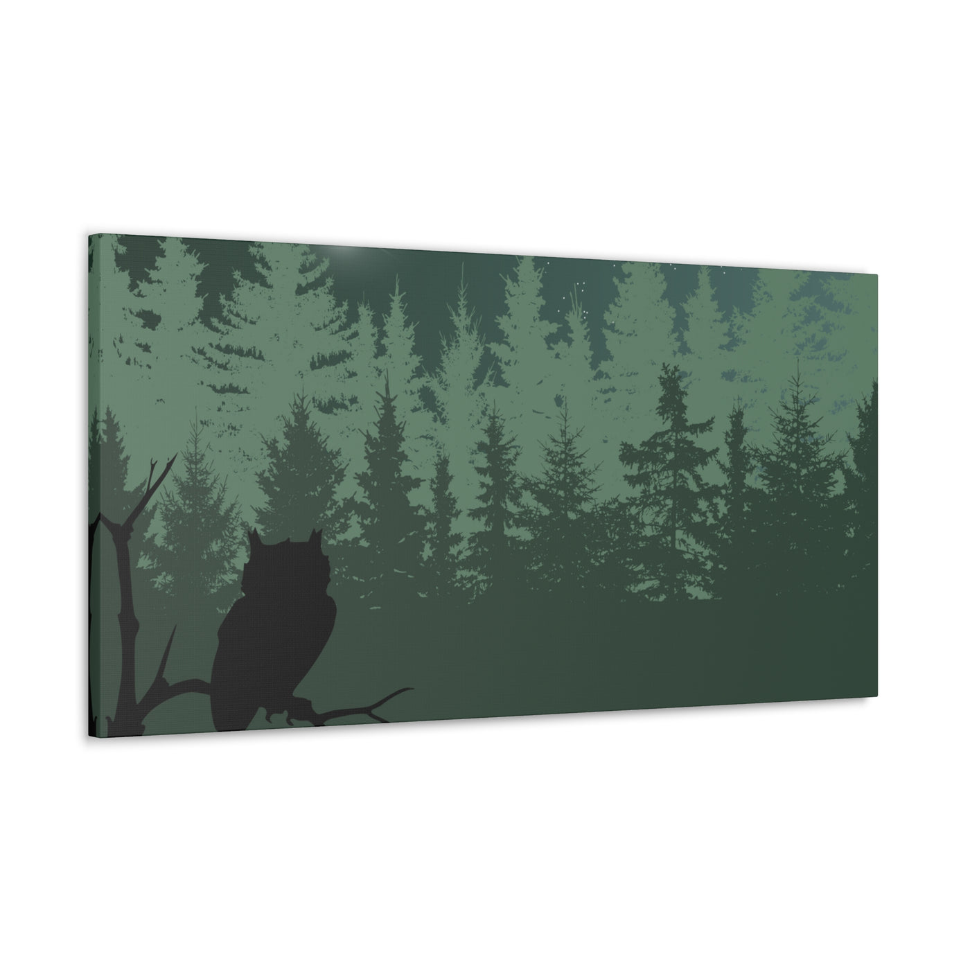 Owl at Midnight Classic Canvas