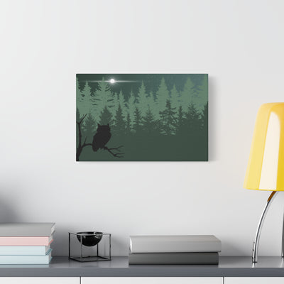 Owl at Midnight Classic Canvas