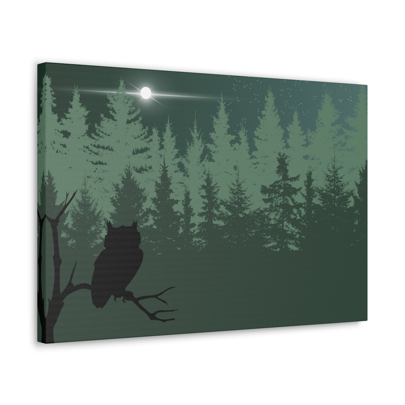 Owl at Midnight Classic Canvas